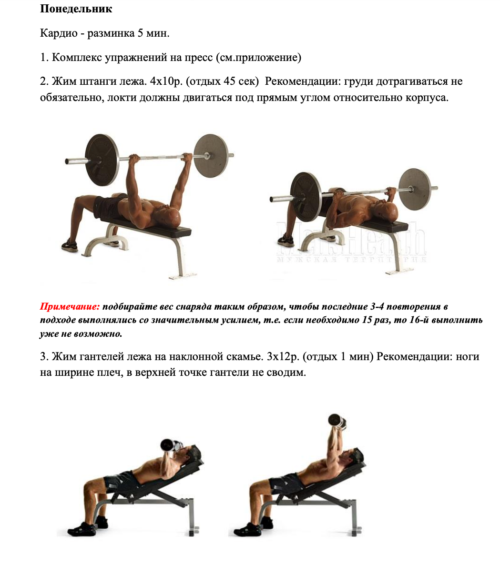 пример индивидуальной программы тренировок - body-program.com.ua